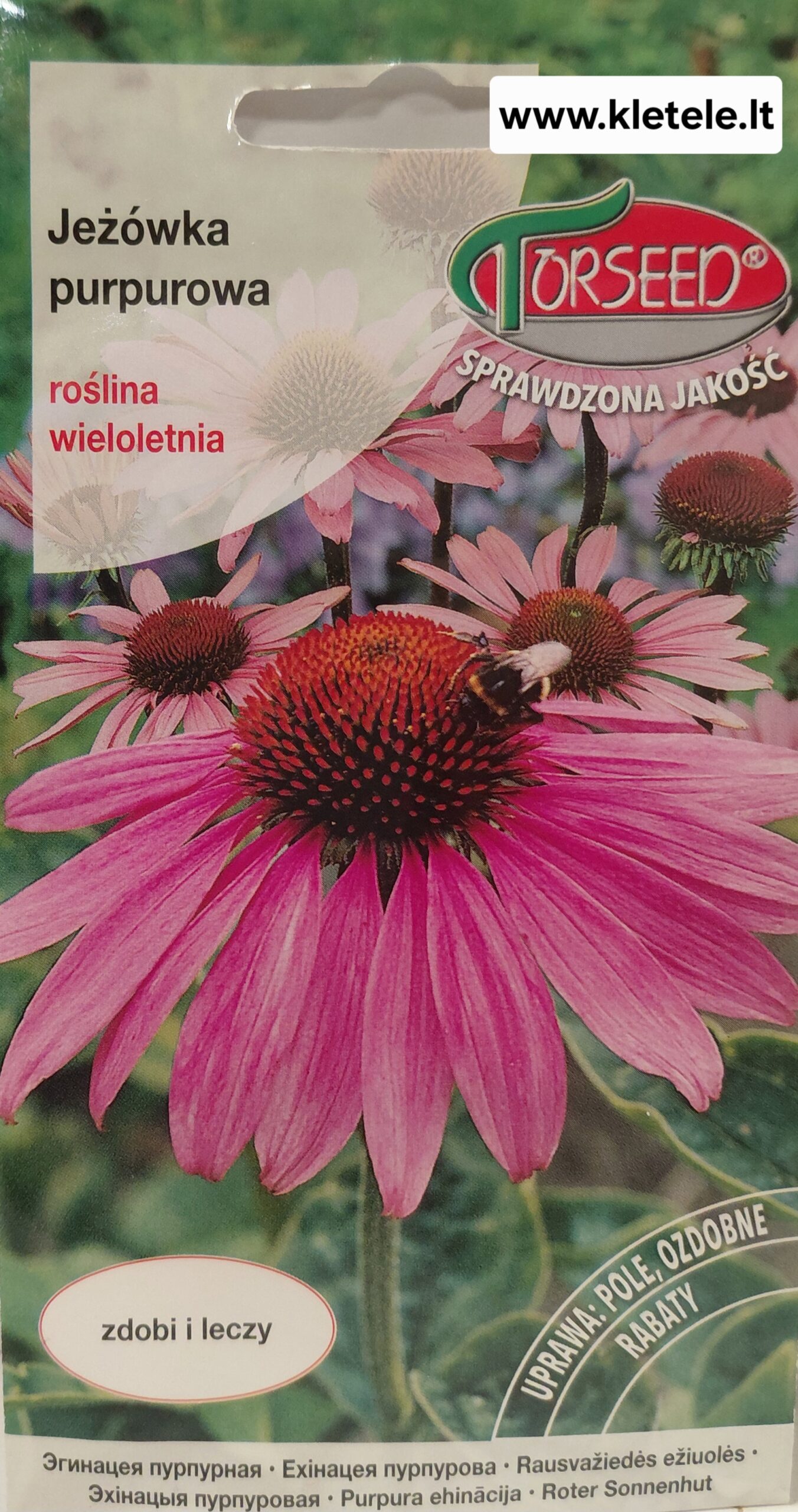 Rausvažiedės ežiuolės, purpurinės, daugiametės, aukštos, tinka vaistažolėms 0,2 g T. Rausvažiedės ežiuolės, purpurinės, daugiametės, aukštos, tinka vaistažolėms 0,2 g T.