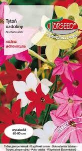 Kvapieji tabakai aukšti, mišinys, kvepia 0,5 T.