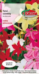 Kvapieji tabakai aukšti, mišinys, kvepia 0,5 T. Kvapieji tabakai aukšti, mišinys, kvepia 0,5 T.