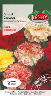 Gvazdikai Šabo mišinys, kvepia, skynimui (Dianthus caryophyllus Chabaud) 0,5 g T. Gvazdikai Šabo mišinys, kvepia, skynimui (Dianthus caryophyllus Chabaud) 0,5 g T.