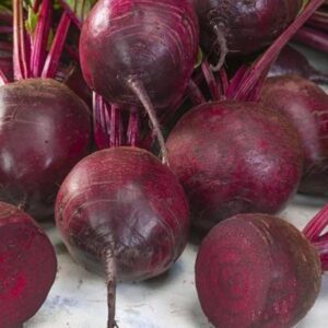 Raudonieji burokėliai apvalūs, vidutinio ankstyvumo, derlingi 'OKRAGLY CIEMNOCZERONY' 250 g L. (Didelė pakuotė). NAUJIENA 2026 m.