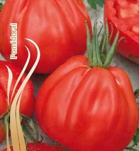 Pomidorai hehibridiniai kriaušės formos, mėsingi ir skanūs, tinka ir laukui 'RED PEAR' 0,2 g S.