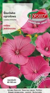 Rožūnės darželinės rožinės, lietuviškam gėlynui, „sodo rožės“ 2 g T