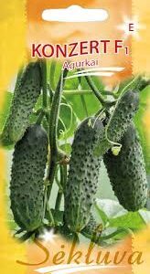 Agurkai savidulkiai ankstyvi, atsparesnis ligoms ir kenkėjams (voratinklinei erkutei, baltsparniui, tripsui) šiltnamiui ir laukui ‘KONZERT F1’ 20 sėklų S. NAUJIENA 2026 m.