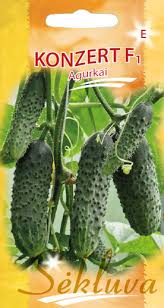 Agurkai savidulkiai ankstyvi, atsparesnis ligoms ir kenkėjams (voratinklinei erkutei, baltsparniui, tripsui) šiltnamiui ir laukui ‘KONZERT F1’ 20 sėklų S. NAUJIENA 2026 m. Agurkai savidulkiai ankstyvi, atsparesnis ligoms ir kenkėjams (voratinklinei erkutei, baltsparniui, tripsui) šiltnamiui ir laukui ‘KONZERT F1’ 20 sėklų S. NAUJIENA 2026 m.