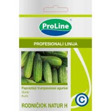 Agurkai trumpavaisiai laukui, balti spygliukai, geras skonis 'RODNIČIOK NATUR H' 1 g SG. Agurkai trumpavaisiai laukui, balti spygliukai, geras skonis 'RODNIČIOK NATUR H' 1 g SG.