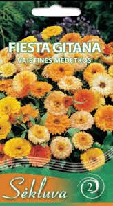 Vaistinės medetkos žemos, geltonos ir oranžinės 'FIESTA GITANA' 2 g S.
