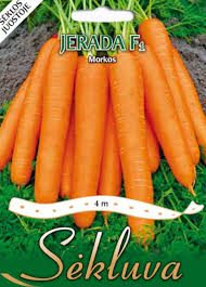 Morkos labai ankstyvos, labai skanios 'JERADA F1' 4 metrai juosta S. NAUJIENA 2026 m.