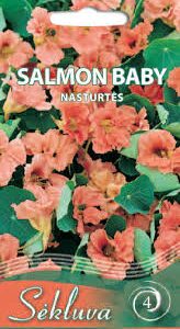 Didžiosios nasturtės krūminės, lašišinės spalvos, pusiau pilnavidurės 'SALMON BABY' 2 g S. NAUJIENA 2026 m.