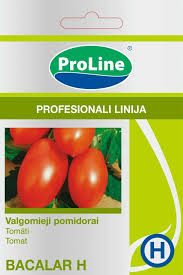 Pomidorai aukštaūgiai, lengvai auginami, slyviniai ovalūs, didelio derlingumo 'BACALAR H' 8 sėklos SG. NAUJIENA 2026 m.