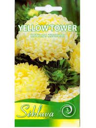 Kininiai ratiliai bijūniniai kreminiai geltoni dideli žiedai, skynimui 'YELLOW TOWER' 0,5 g S.