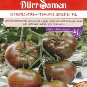 Pomidorai tamsiai rudi („šokoladiniai“), vidutinio aukščio, vidutinio vėlyvumo, derlingi 'SACHER H' 6 sėklos DS.