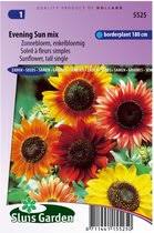 Saulėgrąžos dekoratyvinės aukštos, mišinys, daug žiedų, skynimui 'EVENING SUN MIX' 2 g SLG. NAUJIENA 2026 m.