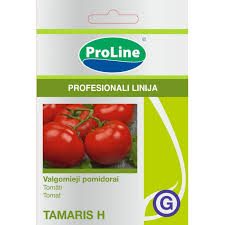 Ankstyvi pomidorai, aukštaūgiai, standartiniai vaisiai, derlingi ir skanūs 'TAMARIS H' 8 sėklos SG