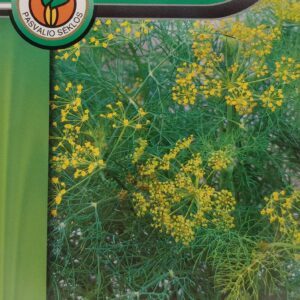 Krapai žemi, daug žalios masės, aromatingi 'MAMMOTH' 5 g PS. (TV laida Svajonių sodai)