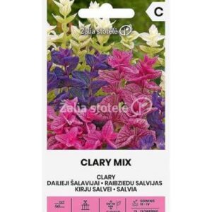 Šalavijai dailieji mišinys, spalvingi lapai, vidutinio aukščio 'CLARY MIX' 0,4 g. NAUJIENA 2026 m.