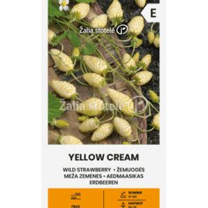 Žemuogės geltonos, saldžios ir kvapnios 'YELLOW CREAM' 0,1 g A. NAUJIENA 2026 m.