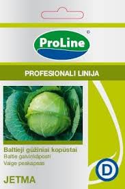 Kopūstai labai ankstyvi, atsparūs pavasarinėms šalnoms 'JETMA H' 30 sėklų SG. NAUJIENA 2026 m.