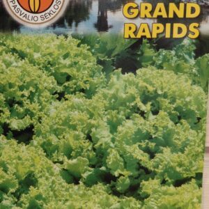 Salotos lapinės, ankstyvos 'GRAND RAPIDS' 2 g PS.