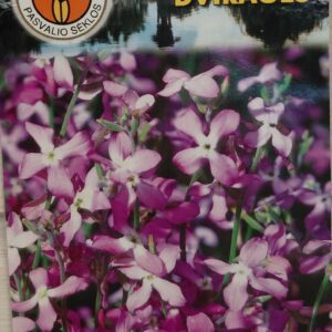 Dviragės leukonijos „naktinukės“, alyvinės, kvepia vakarais, žydinčiai pievai 'LILAC' 1 g PS.