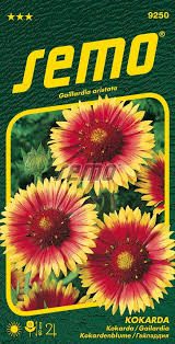 Gailardijos žemos, geltonos, daugiametės 'ZLUTO HNEDA' 0,2 g. SM Gailardijos žemos, geltonos, daugiametės 'ZLUTO HNEDA' 0,2 g. SM