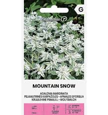 Karpažolės, margalapės (Euphorbia marginata) 2 g A.