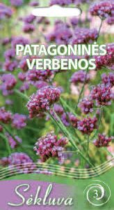 Verbenos patagoninės, violetinės, aukštos, vilioja drugelius 0,3 g S. NAUJIENA 2026 m.
