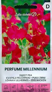 Kvapieji pelėžirniai vijokliniai, balti, kvepia 'PERFUME MILLENNIUM' 2 g S. A.