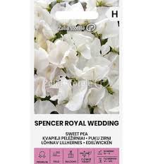 Kvapieji pelėžirniai vijokliniai, balti, kvepia 'SPENCER ROYAL WEDDING' 2 g S. A.