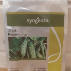Agurkai savidulkiai ankstyvi, trumpi, tinka kornišonų auginimui ‘PASAMONTE H’ 100 sėklų (Profi pakuotė)