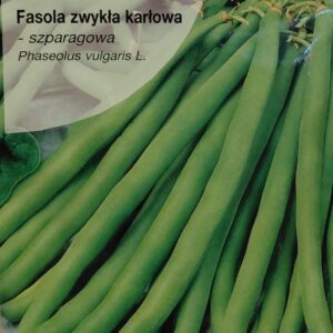 Šparaginės pupelės žemos, žalios, vidutinio ankstyvumo, derlingos 'PROCESOR' 30 g T. NAUJIENA 2026 m.
