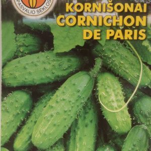 Agurkai nehibridiniai kornišonai, vidutinio ankstyvumo, laukui ‘CORNICHON DE PARIS’ 2 g PS.