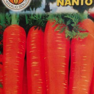 Morkos vidutinio ankstyvumo, maža šerdimi 'NANTES 2' 5 g PS.
