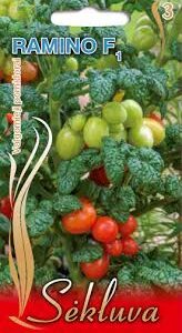 Pomidorai balkoniniai, žemi, raudoni, ovalūs, skanūs, konservavimui, tinka ir laukui 'RAMINO F1' 10 sėklų S.