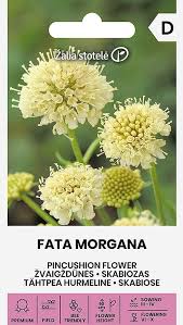 Žvaigždūnės 'FATA MORGANA' , 30 sėklų A.