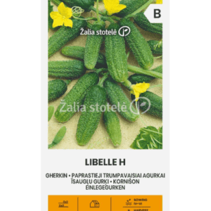 Agurkai laukui vidutinio ankstyvumo, konservavimui, plona odele ‘LIBELLE H’ 2 g A.