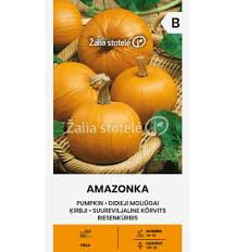 Moliūgai mažais vaisiais, pusiau krūminiai, ankstyvi 'AMAZONKA' 1,7 g. A.
