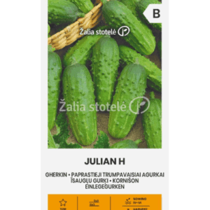 Agurkai laukui, vidutinio ankstyvumo, rauginimui ‘JULIAN H’ 2 g A.