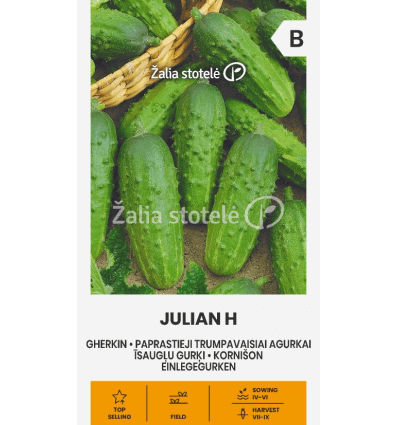 Agurkai laukui, vidutinio ankstyvumo, rauginimui ‘JULIAN H’ 2 g A. Agurkai laukui, vidutinio ankstyvumo, rauginimui ‘JULIAN H’ 2 g A.