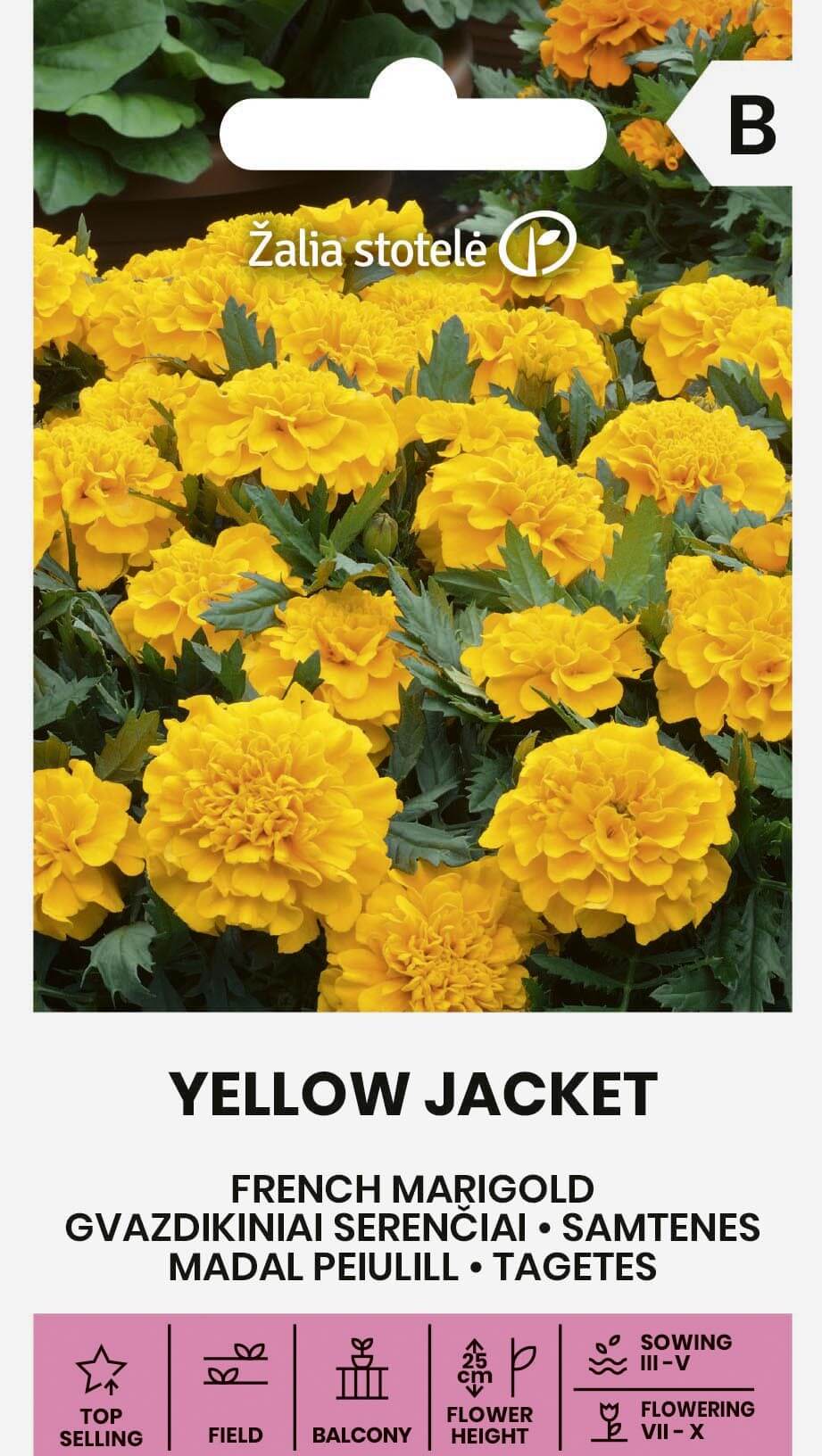 Serenčiai gvazdikiniai žemi, aukso geltonumo 'YELLOW JACKET' 1 g (Naudinga pakuotė) A. NAUJIENA 2026 m. Serenčiai gvazdikiniai žemi, aukso geltonumo 'YELLOW JACKET' 1 g (Naudinga pakuotė) A. NAUJIENA 2026 m.