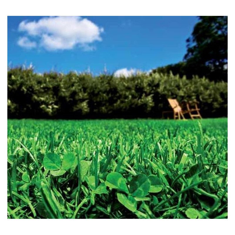 Vejos žolių sėklų mišinys su baltais dobiliukais („Microclover®“) ekologiškų vejų apželdinimui, mažiau tręšimo „EASY-GREEN“ (veja atviroje vietoje su mažai priežiūros) 1 kg TURFLINE. NAUJIENA 2026 m. Vejos žolių sėklų mišinys su baltais dobiliukais („Microclover®“) ekologiškų vejų apželdinimui, mažiau tręšimo „EASY-GREEN“ (veja atviroje vietoje su mažai priežiūros) 1 kg TURFLINE. NAUJIENA 2026 m.