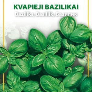 Kvapieji bazilikai plačialapiai, auginami šiltnamyje ir vazone 'ITALIANO CLASSICO' 2 g (Naudinga pakuotė) HOR.