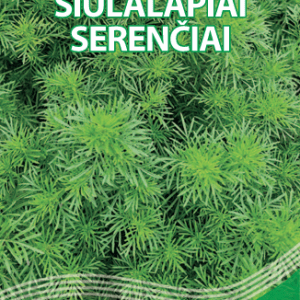Siūlalapiai serenčiai (Tagetes filifolia), prieskoniai, anyžio ir saldymedžio skonio, tinka vazonui 6 sėklos S. NAUJIENA 2027 m.