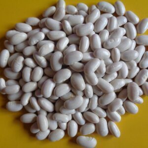 Daržinės lietuviškos pupelės, baltos 'BALTIJA' 10 g (Maža pakuotė)
