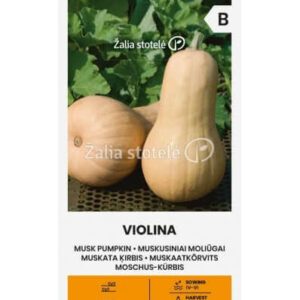Moliūgai muskusiniai (kvapieji) smuiko - kriaušės formos, laikymui 'VIOLINA' 2 g A. NAUJIENA 2026 m.