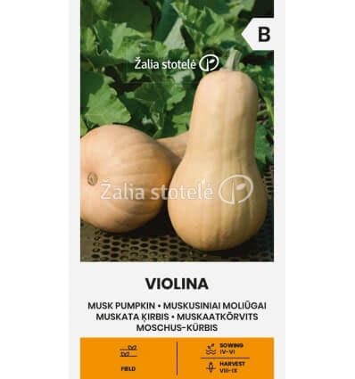 Moliūgai muskusiniai (kvapieji) smuiko - kriaušės formos, laikymui 'VIOLINA' 2 g A. NAUJIENA 2026 m. Moliūgai muskusiniai (kvapieji) smuiko - kriaušės formos, laikymui 'VIOLINA' 2 g A. NAUJIENA 2026 m.