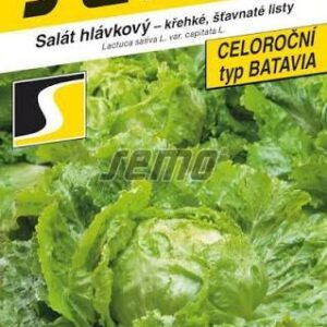 Ledo salotos garbanotos, gūžinės, traškiais lapais BATAVUS' 0,6 g SM. NAUJIENA 2026 m.