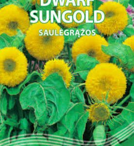 Saulėgrąžos dekoratyvinės žemos, pilnavidurės 'DWARF SUNGOLD' 2 g S. NAUJIENA 2026 m.