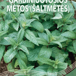 Mėtos garbiniuotosios, šaltmėtės (Mentha spicata), daugiametės 0,05 g S. NAUJIENA 2027 m.