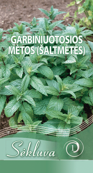Mėtos garbiniuotosios, šaltmėtės (Mentha spicata), daugiametės 0,05 g S. NAUJIENA 2027 m. Mėtos garbiniuotosios, šaltmėtės (Mentha spicata), daugiametės 0,05 g S. NAUJIENA 2027 m.